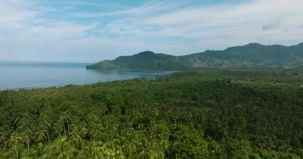 热带岛屿 有热带雨林和丛林 菲律宾棉兰老岛 旅行概念 — 图库视频影像