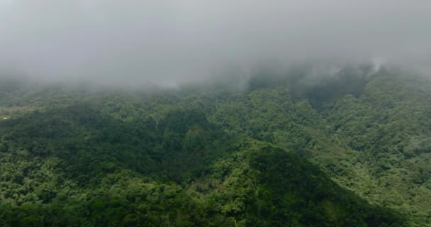 Trópusi Hegy Növényekkel Ködös Köddel Dzsungel Felett Camiguin Sziget Fülöp — Stock videók