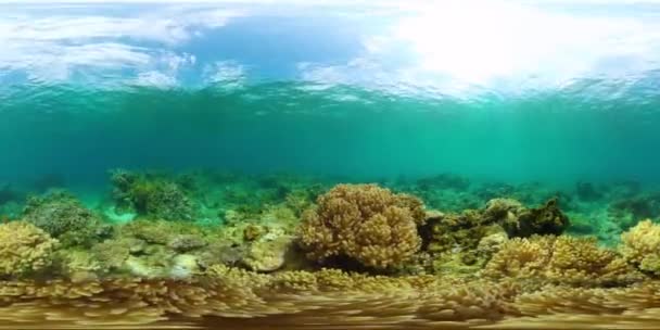 Κοραλλιογενής Ύφαλος Και Τροπικά Ψάρια Υποβρύχια Σκηνή Ζωής Εικονική Πραγματικότητα — Αρχείο Βίντεο