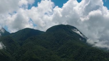 Camiguin Adası 'nın yamaçlarında tropik yeşil orman ve orman. Filipinler.