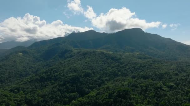 Paisagem Panorâmica Montanha Com Floresta Verde Ilha Camiguin Filipinas — Vídeo de Stock