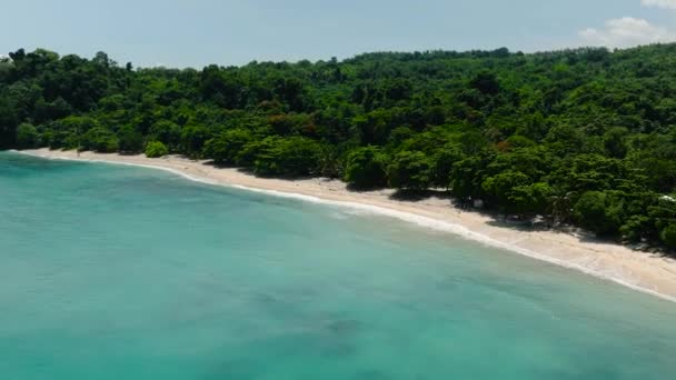 热带海滩 白沙滩 碧绿的水和波浪 萨马尔达沃菲律宾 — 图库视频影像