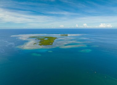 Kuşlar, tropikal küçük ada ve mangrov ormanlarıyla çevrili turkuaz suya bakar. Mercan resifleri ve dalgalar. Mindanao, Filipinler.