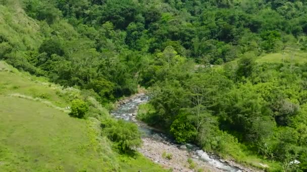 Rivière Vallée Tropicales Montagneuses Aux Philippines Mindanao — Video