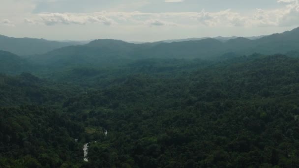 Blick Auf Den Fluss Inmitten Eines Berges Mit Grünem Wald — Stockvideo
