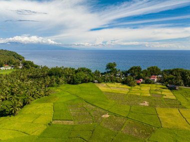 Deniz kenarında tarım arazisi. Mavi deniz, mavi gökyüzü ve bulutlar, tropikal manzara. Camiguin Adası. Filipinler.