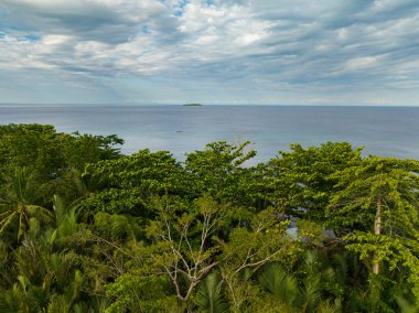 Camiguin Adası 'nda yeşil ağaçlar ve palmiye ağaçları olan kıyı şeridi. Filipinler.