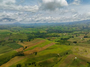 Bukidnon 'daki tarımsal arazi ve çeltik tarlalarının havadan görünüşü. Mindanao, Filipinler.