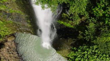 Yağmur ormanı manzaralı güzel bir şelale. Alalum Şelalesi. Mindanao, Filipinler.