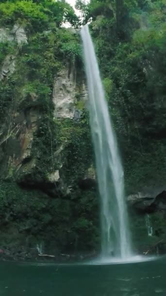 Ταχεία Ροή Στην Πράσινη Λεκάνη Βυθίσεως Κατιμπαουασάν Φολς Στο Νησί — Αρχείο Βίντεο