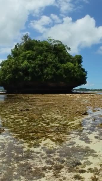 Tropisk Med Stenkoraller Brittiska Öarna Surigao Del Sur Filippinerna Vertikal — Stockvideo