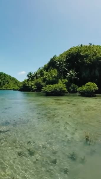 Mangrovları Yeşilimsi Gölleri Olan Tinago Adası Tagana Surigao Del Norte — Stok video