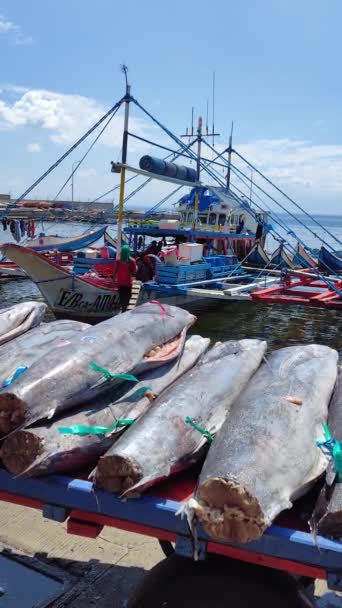 在没有鳍的推车上的金枪鱼 桑托斯将军市渔港综合体菲律宾 纵向观点 — 图库视频影像