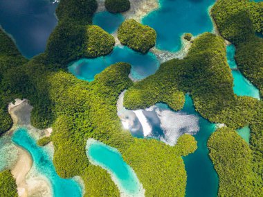 Sohoton Koyu 'ndaki Doğal Havuz' daki Turkuaz suyunun insansız hava aracı görüntüsü. Surigao del Norte. Mindanao, Filipinler.