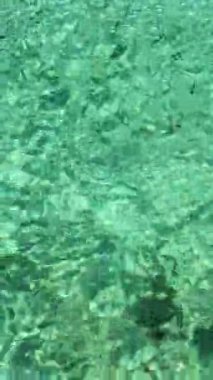 Açık turkuazlı küçük balıklar güneş ışığı yansımalı deniz suyu. Filipinler. Dikey görünüm.