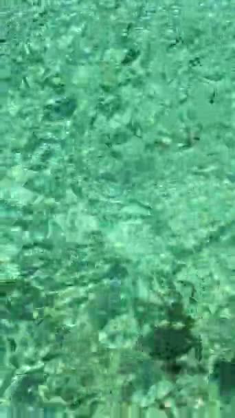 Małe Ryby Czystej Turkusowej Wodzie Morskiej Odbiciem Światła Słonecznego Filipiny — Wideo stockowe