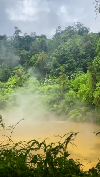 Bosque Verde Con Aguas Termales Lago Fangoso Lago Agco Kidapawan — Vídeos de Stock