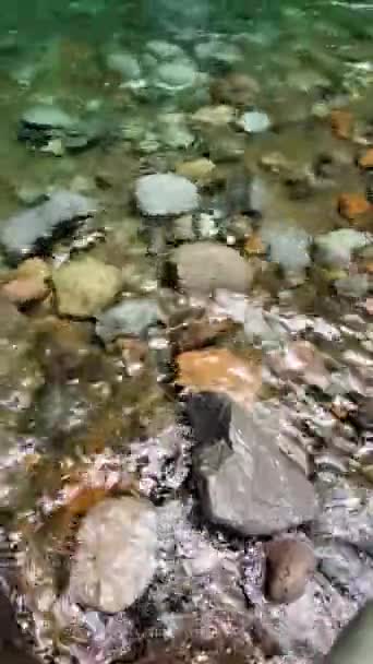 Clear Freshwater Rocks Tropical River Vertical View — Stock Video