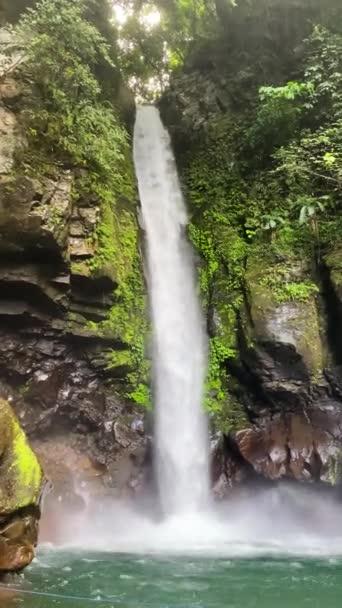 タカサンフォールズの緑のプランジの盆地の上の急流 カミーギン島 フィリピン 垂直ビュー — ストック動画