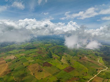 Tarım arazisindeki tarlalar bulutlarla kaplı. Mindanao, Filipinler.