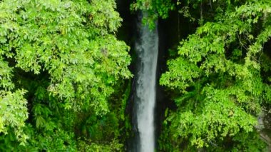 Orman ve bitkilerle birlikte su akıntısı. Tuasan Şelalesi. Camiguin Adası. Filipinler. Yavaş çekim.