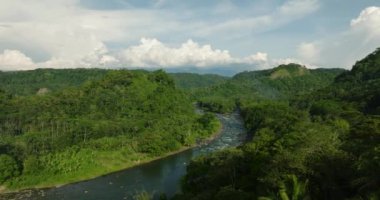 Nehir ve yemyeşil bitki örtüsü olan tropik bir dağ. Mindanao, Filipinler.