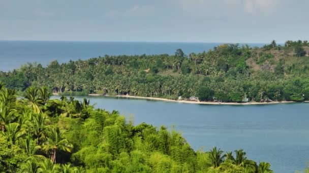 砂浜と緑の木が付いている熱帯島 かつてのイスラエル ザンボンガ フィリピン — ストック動画