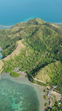 Uyuyan dinazor oluşumundaki tropikal adanın en üst görüntüsü. Turkuaz su ve mercanlar. Mindanao, Filipinler. Dikey görünüm.