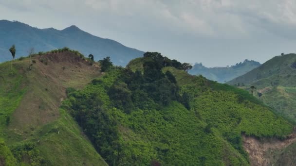 Tropikalna Zielona Góra Roślinami Doliną Mindanao Filipiny — Wideo stockowe