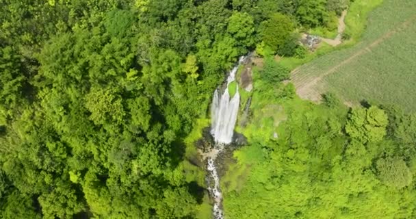 Top View Lasang Falls Greenery Vegetation Mindanao Philippines Bukidnon — Stock Video