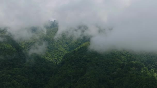 Trópusi Hegy Ködökkel Felhőkkel Buja Növényzet Erdő Dzsungel Felett Camiguin — Stock videók