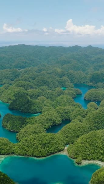 鳥は美しいグリーンラグーンを見ます ソフォトンコーブの島々のグループ バカス グランデ フィリピン ミンダナオ 垂直ビュー — ストック動画