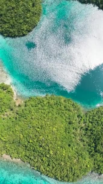 Vista Superior Lagoas Bonitas Floresta Tropical Ilha Bucas Grande Surigao — Vídeo de Stock
