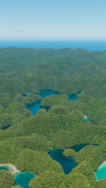 Yağmur Ormanları Göl Havuzu Açık Mavi Deniz Suyundaki Mercanlar Bucas — Stok video