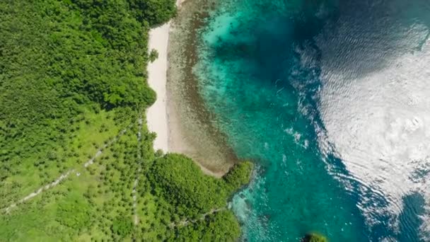Tropikal Adada Palmiye Ağaçları Olan Beyaz Kumsal Manzarası Kıyıya Yakın — Stok video