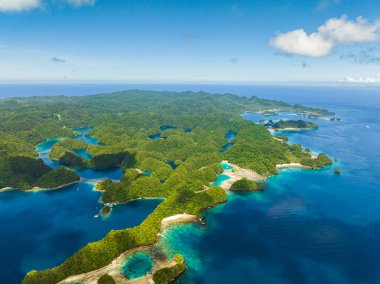 Yağmur ormanlarının doğal bileşimi ve göl havuzu. Açık deniz suyundaki mercanlar. Bucas Grande Adası. Mindanao, Filipinler.