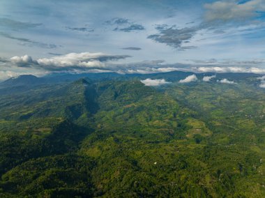 Tropik dağ sırası ve dağ yamaçlarında yağmur ormanları. Mavi gökyüzü ve bulutlar. Mindanao, Filipinler.
