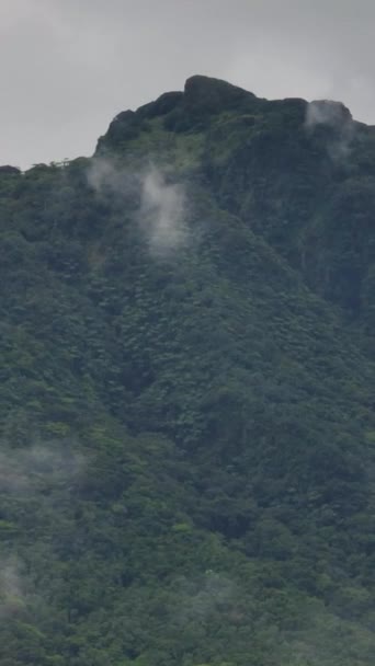 Tropikalne Wzgórza Górskie Pływającymi Parami Nad Doliną Wyspa Camiguin Filipiny — Wideo stockowe