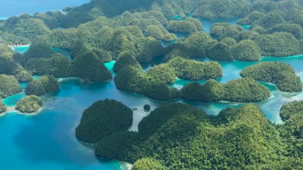 Vista Aérea Floresta Tropical Das Lagoas Sohoton Cove Superfície Lagoa — Vídeo de Stock