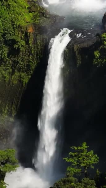 Быстрый Каскад Окружении Пышной Листвы Лимунсуданский Водопад Минданао Филиппины Вертикаль — стоковое видео
