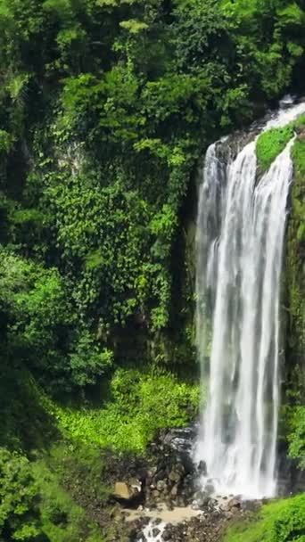 Wasserfälle Umgeben Von Tropischem Wald Lasang Falls Bukidnon Philippinen Vertikal — Stockvideo