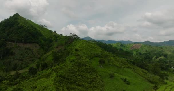 Puncak Gunung Ditutupi Dengan Hutan Dari Atas Gunung Gunung Ditutupi — Stok Video