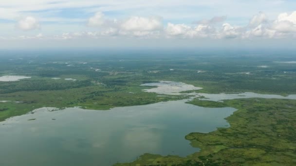 阿古桑沼泽野生动物保护区 沼泽森林 水道和湖泊的广阔湿地 菲律宾棉兰老岛 无人机视图 — 图库视频影像