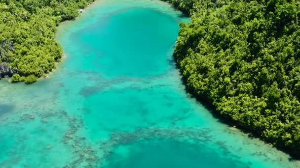 Tinago Adası Ndaki Mercan Resifleriyle Göldeki Turkuaz Suyu Mindanao Filipinler — Stok video