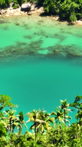 Lagun Med Transparent Turkost Vatten Sohoton Cove Bucas Grande Filippinerna — Stockvideo