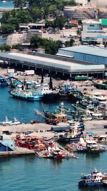 Allmänt Santos City Fish Port Complex Med Fiskebåtar Filippinerna Vertikala — Stockvideo