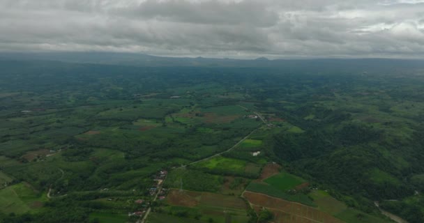 田んぼと緑の森がある農地 ミンダナオ フィリピン — ストック動画