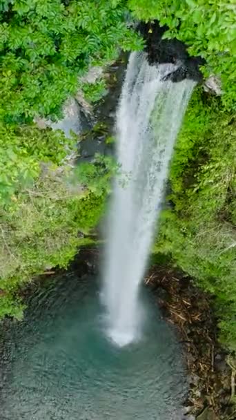Wasserfall Umgeben Von Üppigem Grün Auf Der Insel Camiguin Katibawasan — Stockvideo