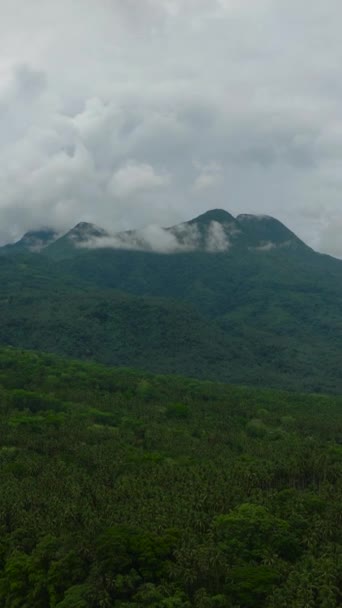 高山上的热带绿林和卡米金岛高地的丛林小山 菲律宾 垂直录像 — 图库视频影像