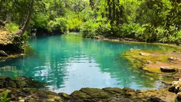 Eau Turquoise Entourée Forêt Tropicale Lagune Beto Barobo Surigao Del — Video